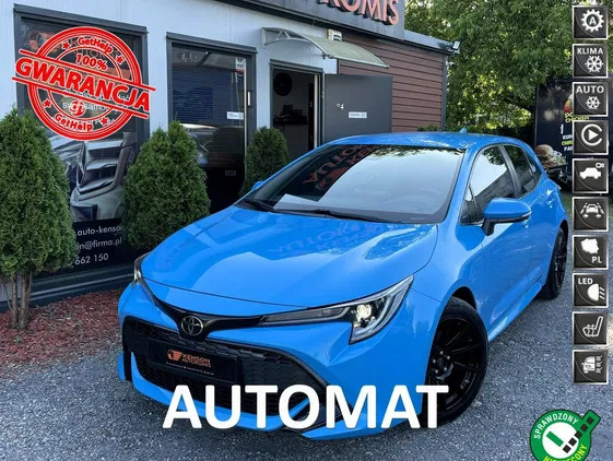 toyota kujawsko-pomorskie Toyota Corolla cena 74900 przebieg: 25788, rok produkcji 2019 z Bogatynia